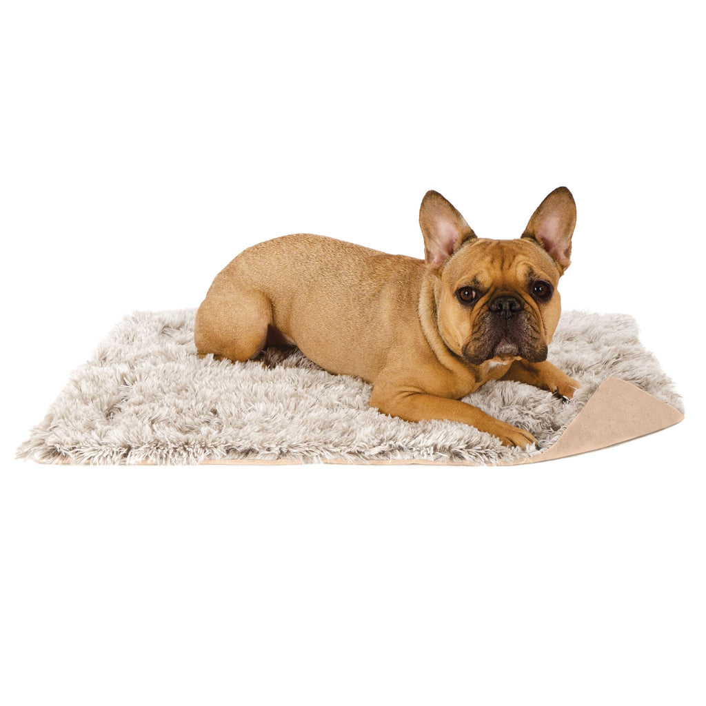 Furhaven Waterproof Throw Blanket for Dogs & Indoor Cats, Washable - Shaggy Plush Calming Long Faux Fur & Velvet Dog Blanket - Driftwood, Small