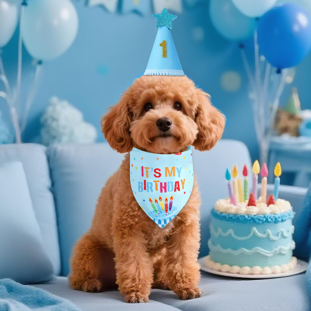 Agroon Blue Dog Birthday Set with Hat Bandana Numbers for Pet Puppy Boy