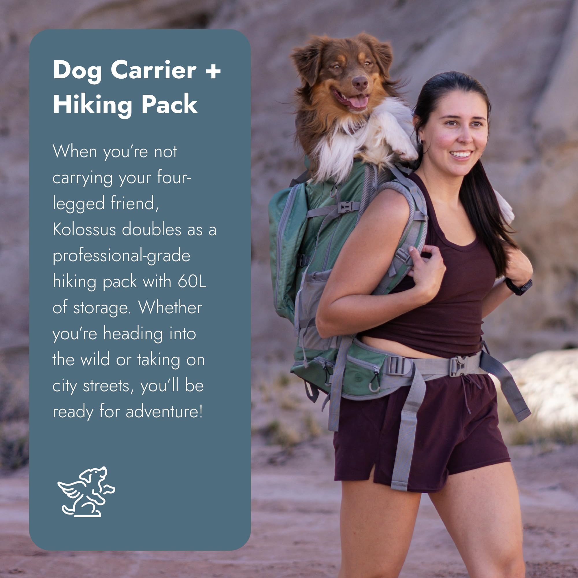 K9 Sport Sack Kolossus - Large, Black - The Big Dog Backpack - Ideal for Dogs 20-22” Long - Fully Adjustable Pet Carrier - Doubles as a Professional-Grade 60L Hiking Pack