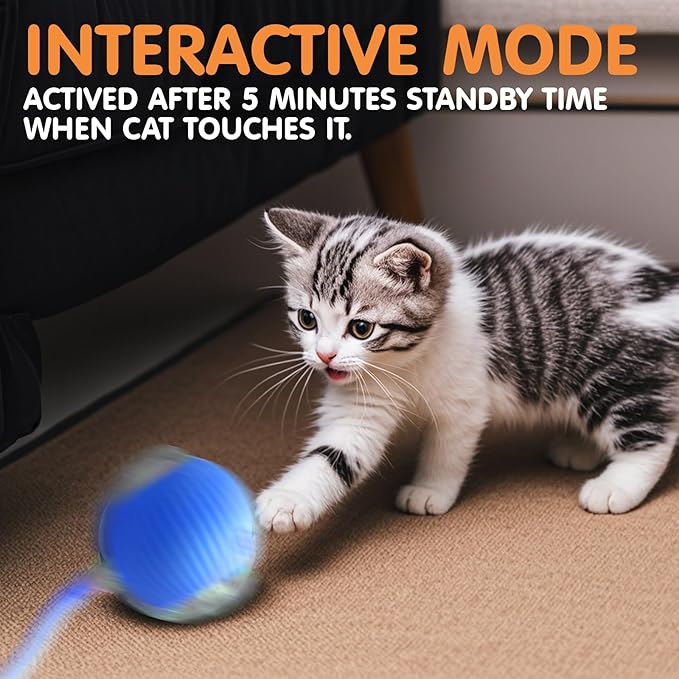 Rocfish Durable Interactive Cat Toys for Indoor Cats (Blue, 01)