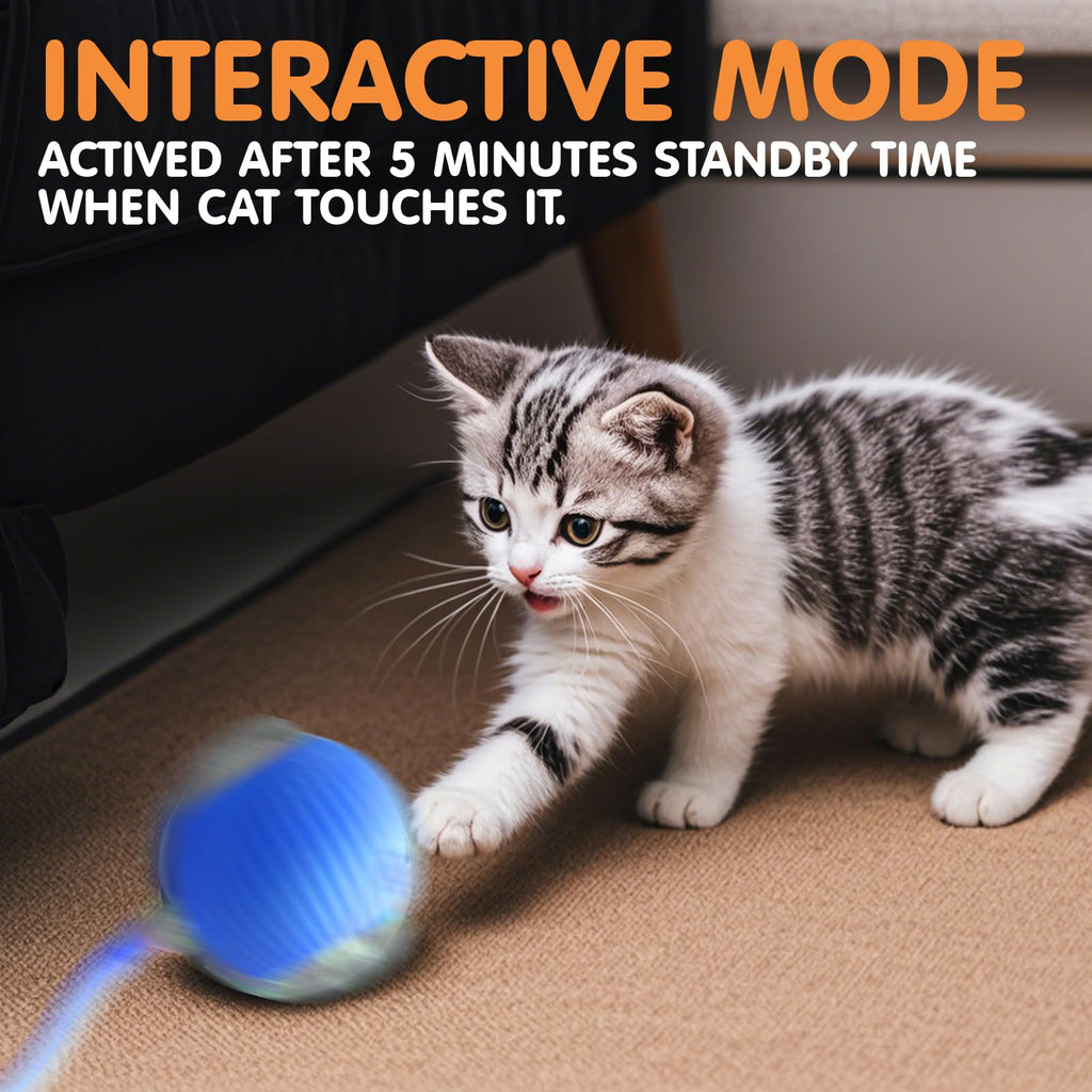 Rocfish Durable Interactive Cat Toys for Indoor Cats (Blue, 01)