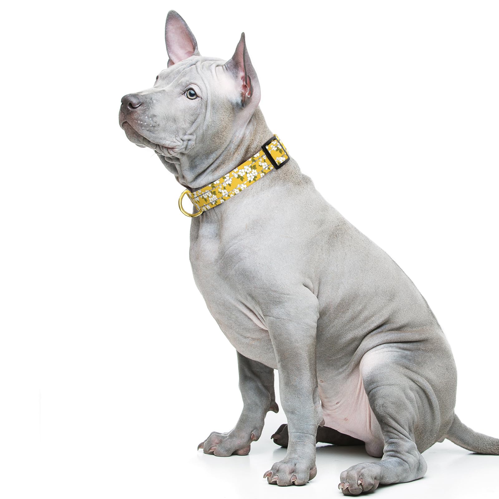 TMOODEL Reflective Adjustable Dog Collar for Medium Dogs, Yellow Flower, M
