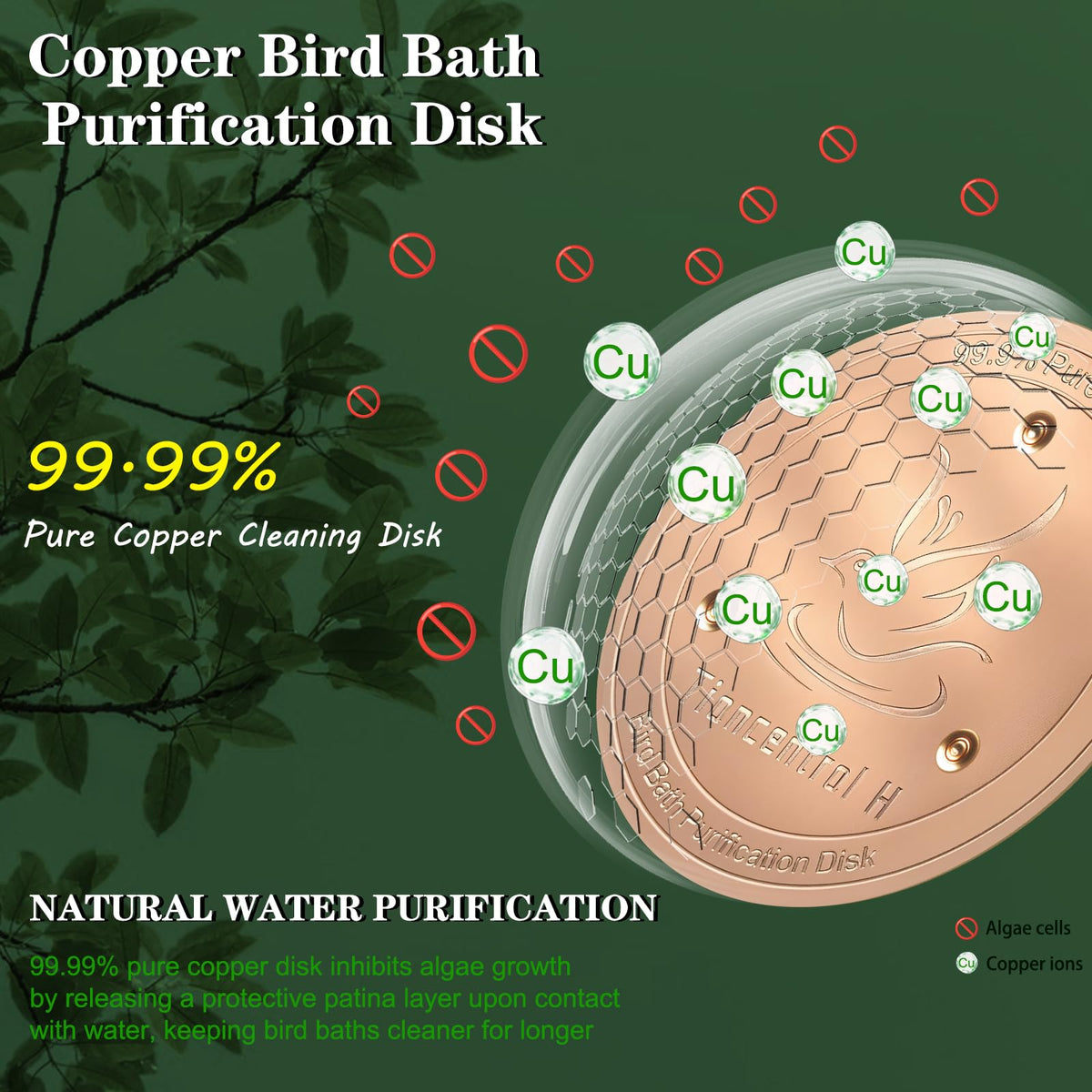 TIANCENTRAL H Bird Bath Copper Disk 2PCS-99.99% Pure Copper Cleaning Disk with Triple-Point Support 1mm Reinforced Water Purification Disk for Bird Baths,4 Inch