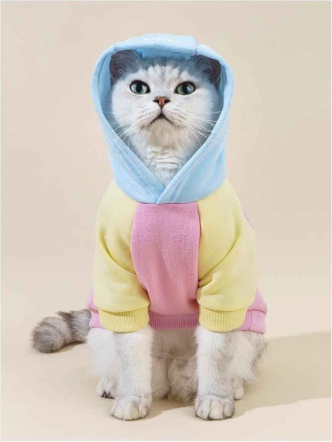 QWINEE Basic Dog Hoodie Sweatshirt Puppy Sweater Warm Cat Costumes Pet Clothes for Chihuahua Puppy Kitten Small Medium Dogs Pink Medium