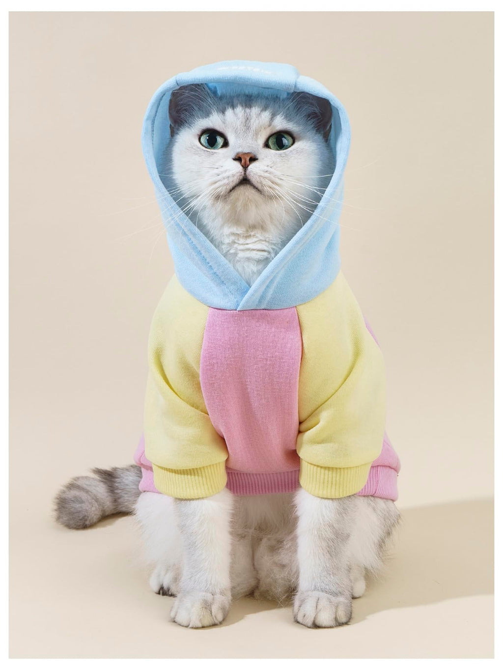 QWINEE Basic Dog Hoodie Sweatshirt Puppy Sweater Warm Cat Costumes Pet Clothes for Chihuahua Puppy Kitten Small Medium Dogs Pink Medium