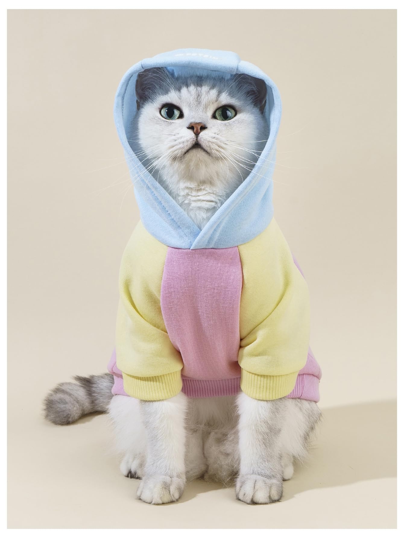 QWINEE Basic Dog Hoodie Sweatshirt Puppy Sweater Warm Cat Costumes Pet Clothes for Chihuahua Puppy Kitten Small Medium Dogs Pink Medium