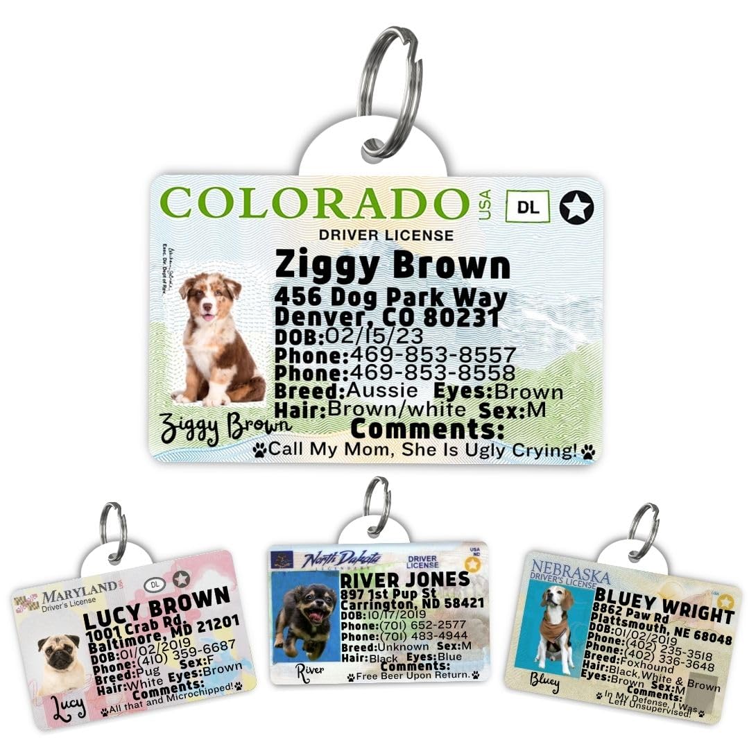 Dog Tags Personalized, Dog ID License Tag for Pets (Washington, Tag)
