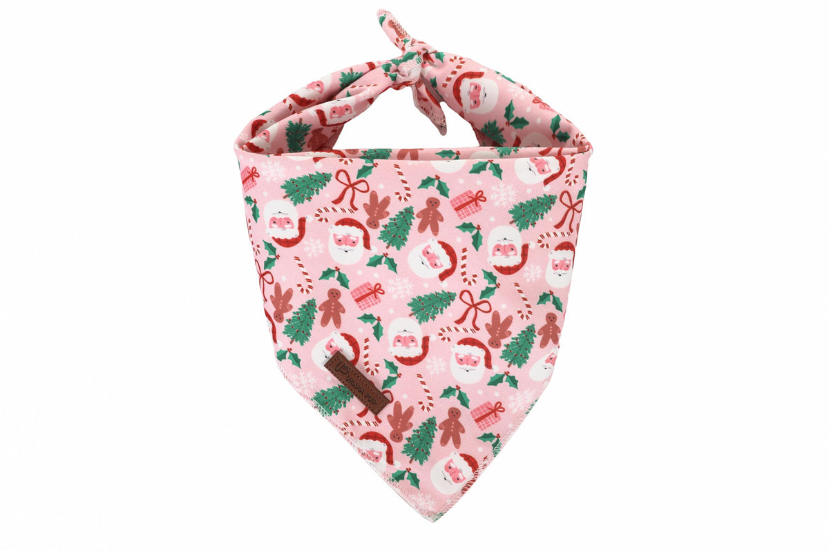 UP URARA PUP Valentine Dog Bandana - Pink Heart Triangle Bib Scarf for Small Medium Pets, Cotton Kerchief for Girl Boy Dogs or Cats, Red Puppy Bandana
