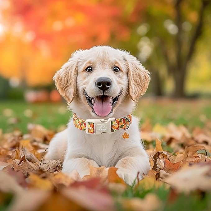 Babole Pet Fall Dog Collar Cute Autumn Leaves Puppy Collar - Light Comfortable Adjustable Pet Collars for Small Medium Large Girl Boy Dogs S