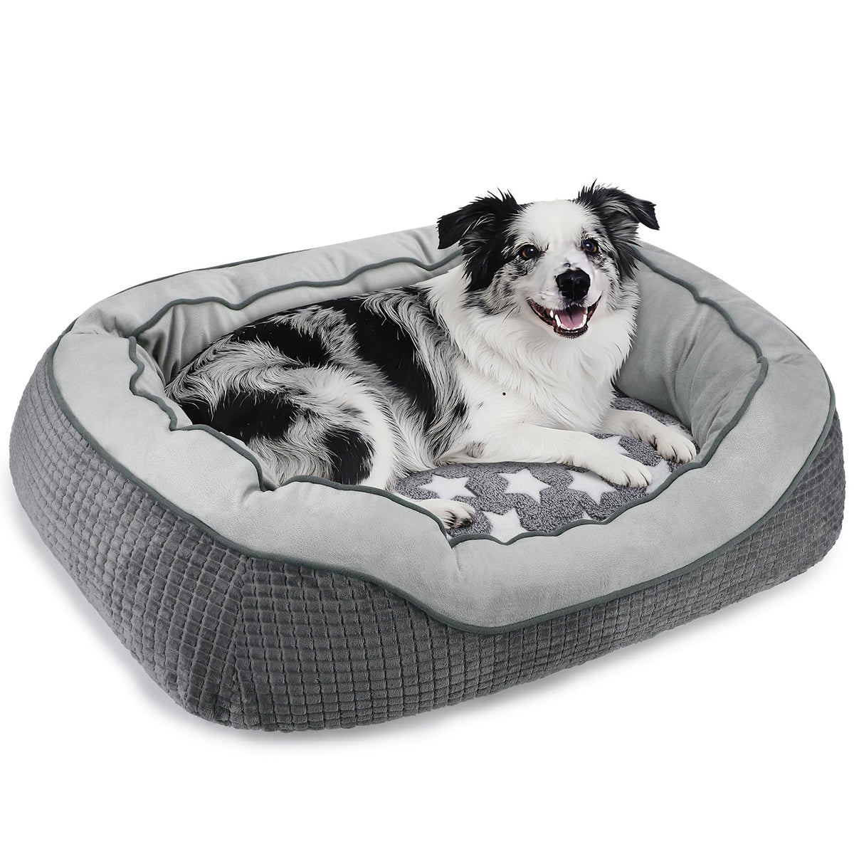 SIWA MARY Washable Dog Bed Medium Size Dogs, Orthopedic Pet Bed