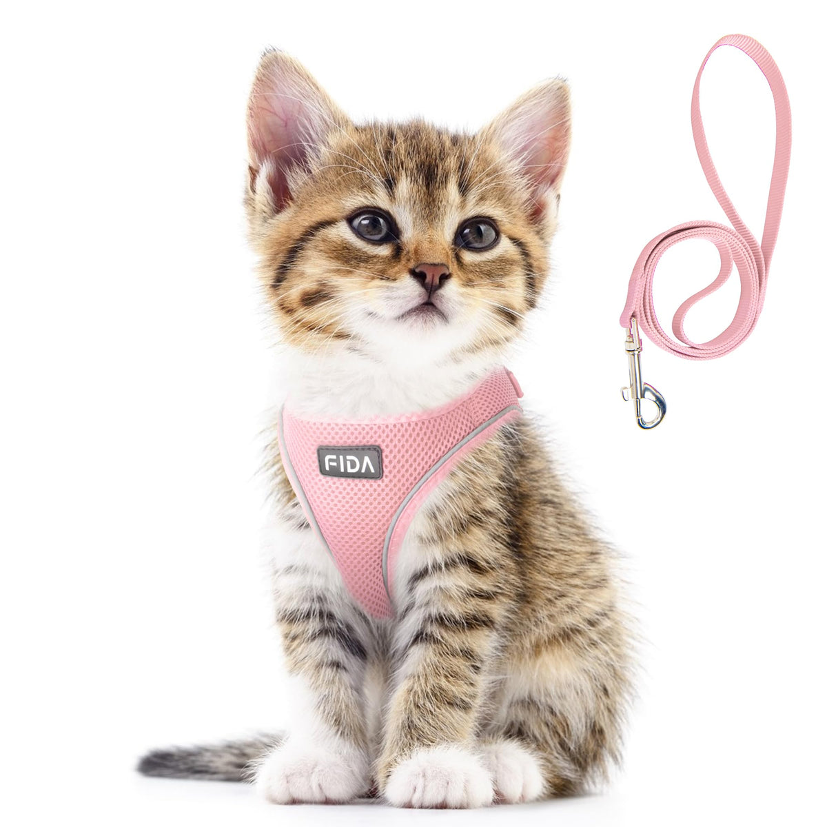 Fida Comfy Dog Harness with Leash, Soft Puppy Vest Escape Proof, Breathable Lightweight Soft Mesh, Adjustable Reflective Step-in Harness for Extra-Small Dogs (XS, Pink)