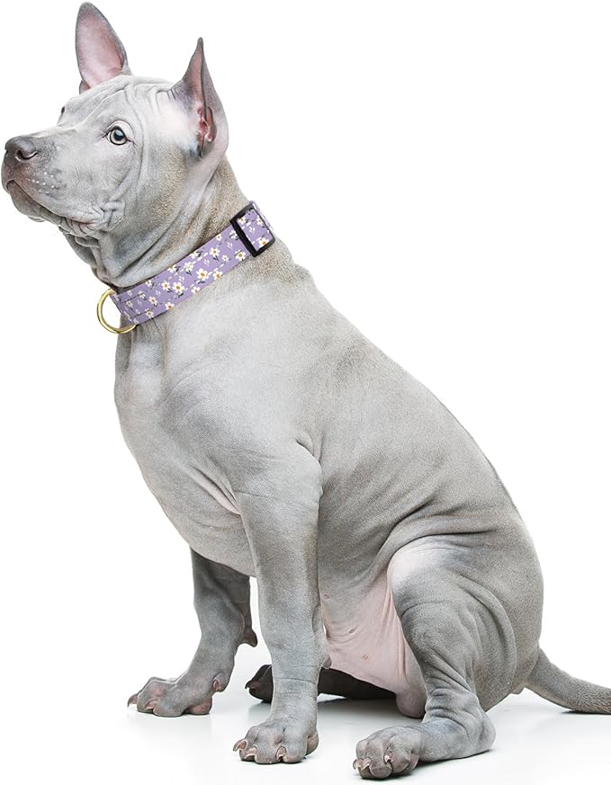 TMOODEL Reflective Dog Collar for Medium Dogs, Cute Flower Theme Adjustable Heavy-Duty Nylon Puppy Collar for Boy and Girl Female, Soft Pet Accessories with Quick Release Buckle, Purple White