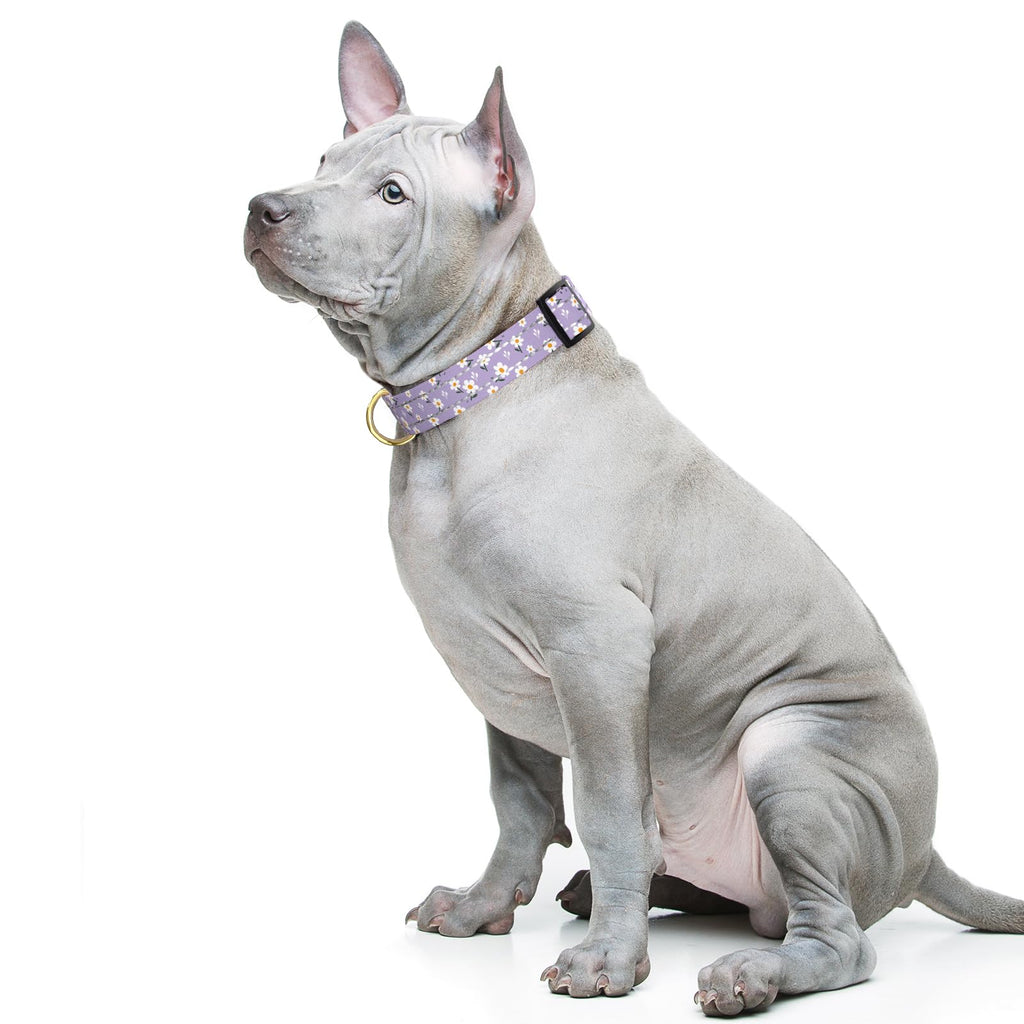 TMOODEL Reflective Adjustable Dog Collar for Medium Dogs,Purple Flower, M