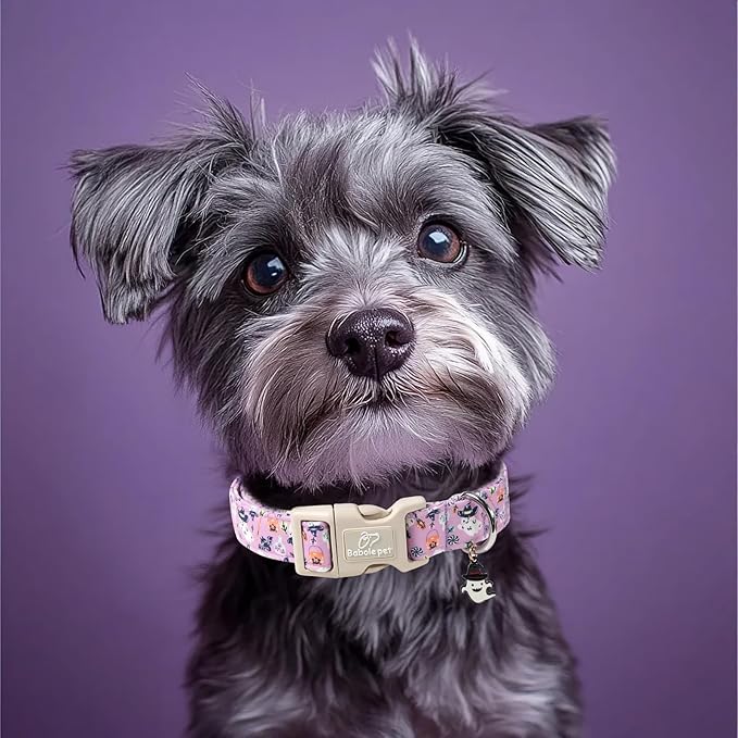 Halloween Dog Collar Cute Wizard Ghost Puppy Collar - Light Comfortable Adjustable Pet Collars for Small Medium Large Girl Boy Dogs L