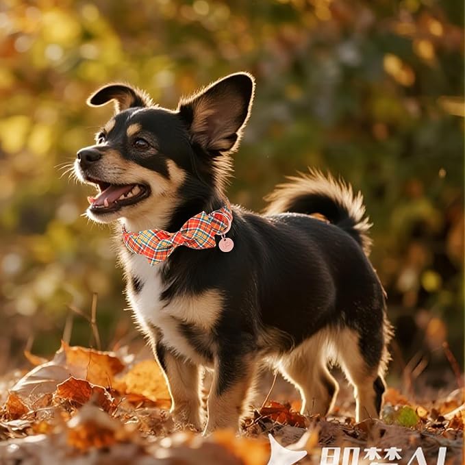 UP URARA PUP Autumn Plaid Dog Collar and Bow Tie Set – Orange Yellow Checkered Adjustable Fall Collar with Maple Leaf Charm for Small Medium Large Dogs, Soft Cotton Pet Collars with Buckle and D-Ring