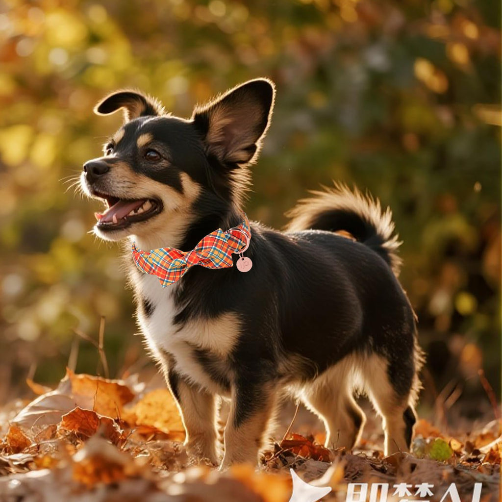 UP URARA PUP Autumn Plaid Dog Collar and Bow Tie Set – Orange Yellow Checkered Adjustable Fall Collar with Maple Leaf Charm for Small Medium Large Dogs, Soft Cotton Pet Collars with Buckle and D-Ring