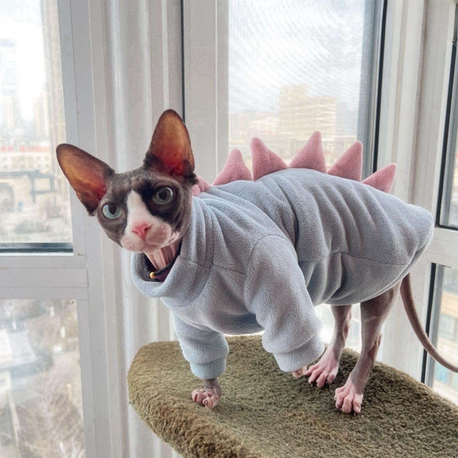 Sky Blue Dinosaur Sphynx Cat Clothes Sweater Hairless Cat Apparel