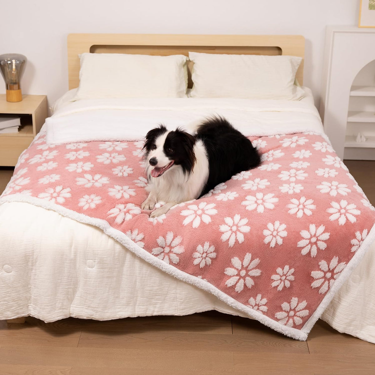 Yaning Cute Waterproof Blanket for Dog Puppy Cat, 30"x40", Purple