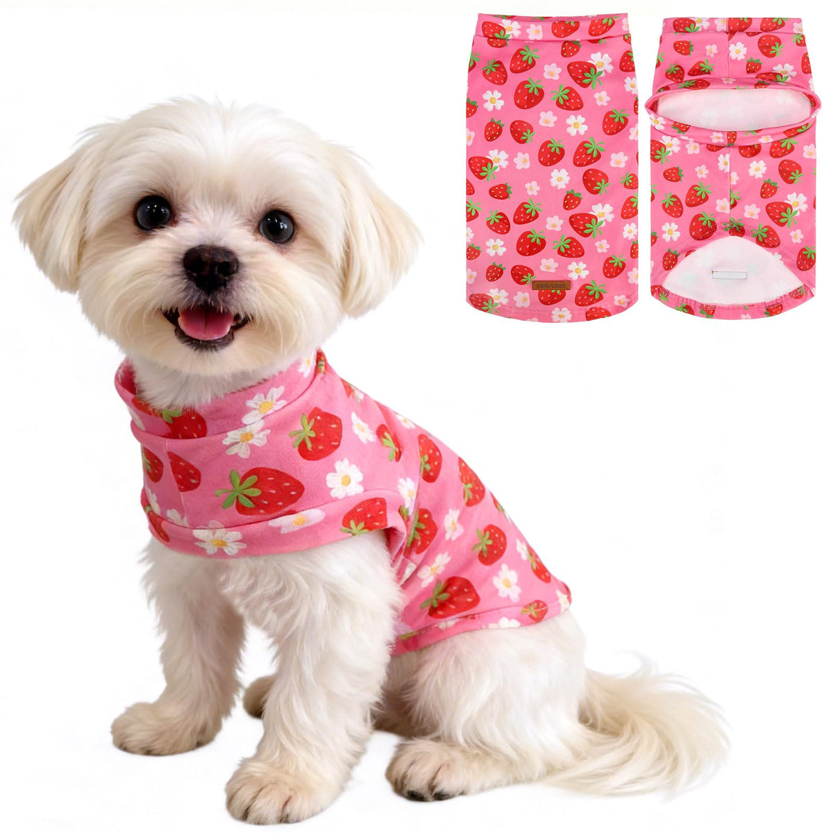 EXPAWLORER Cat Sweater Warm Fleece Pet Clothes for Cats Only