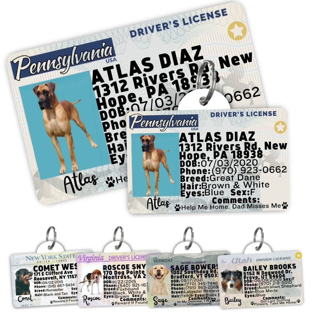 Dog Tags Personalized, Dog ID License Tag for Pets (Arizona, Wallet Card)