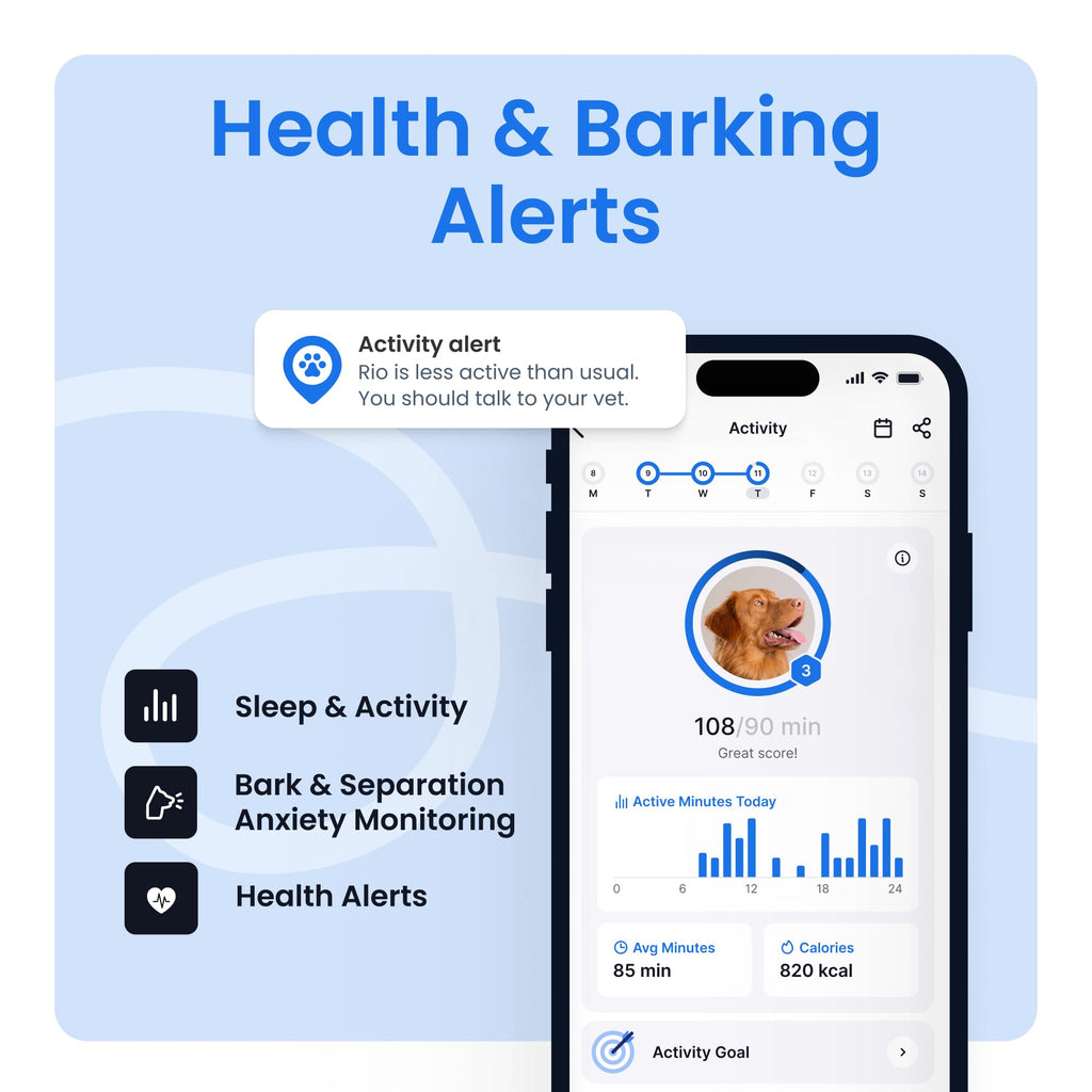 Tractive Smart Dog GPS Tracker | Live Pet Tracker with Virtual Fence | Vital Signs Monitoring of Heart & Respiratory Rate | Bark Monitoring | Dog Collar Attachment (Mint)