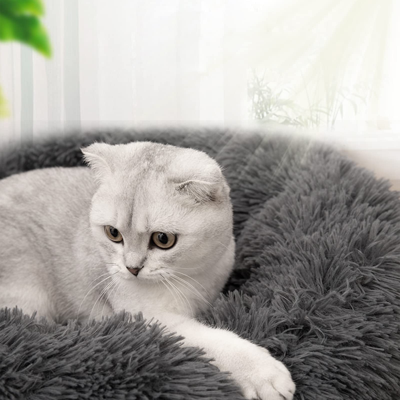 Nisrada Cat Beds for Indoor Cats,15.7 Inch Dog Bed for Small Melium Large Dogs, Washable-Round Pet Bed for Puppy and Kitten with Slip-Resistant Bottom
