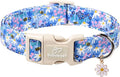 Floral Dog Collar for Small Dogs - Cute Spring Dog Collars, Soft Lightweight Bee & Daisy Puppy Collar, Breathable Adjustable Male Female Blue Wildflowers Dogs Collars S