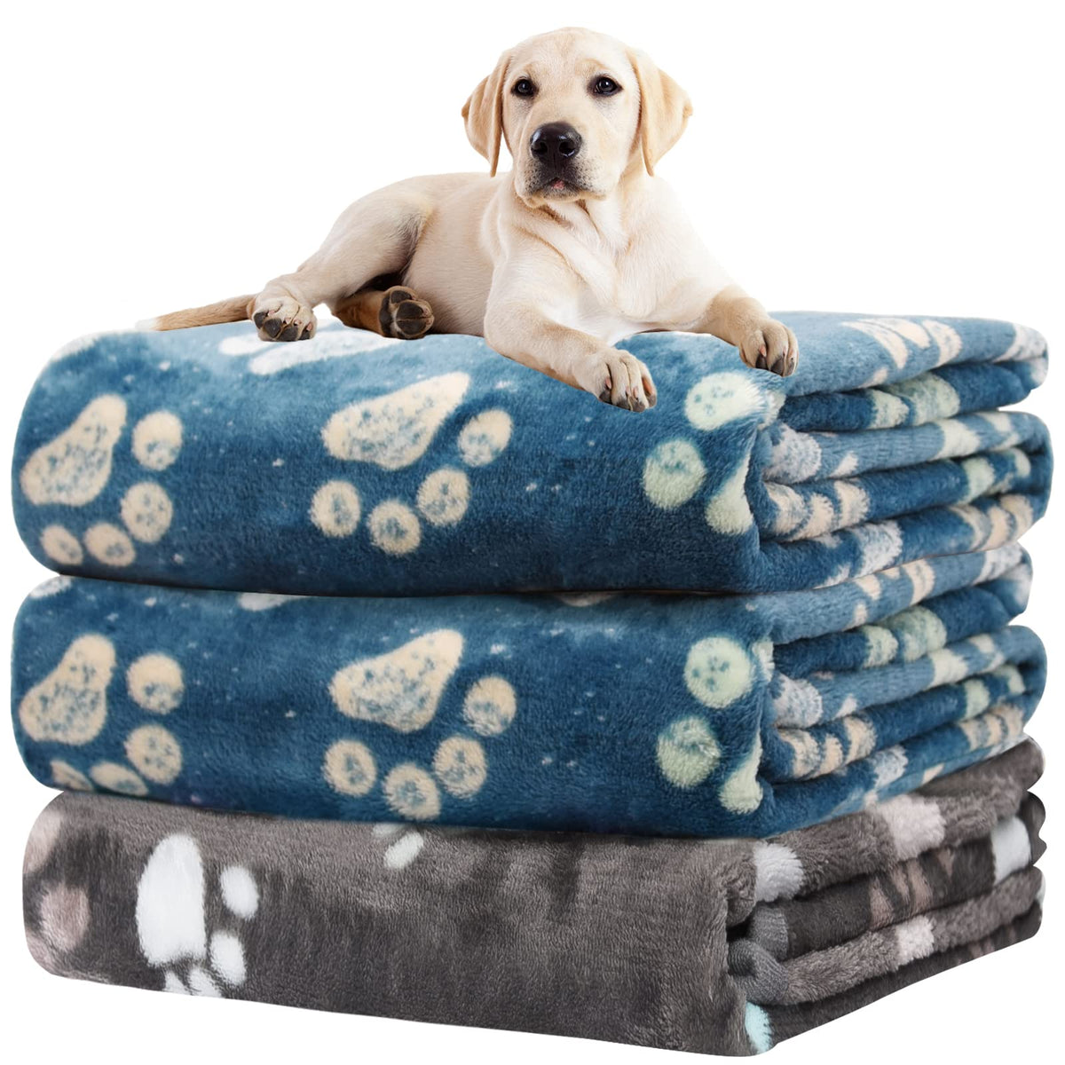 Rezutan 3 Pack Premium Soft Dog Blanket for Medium Dogs Puppy & Cat