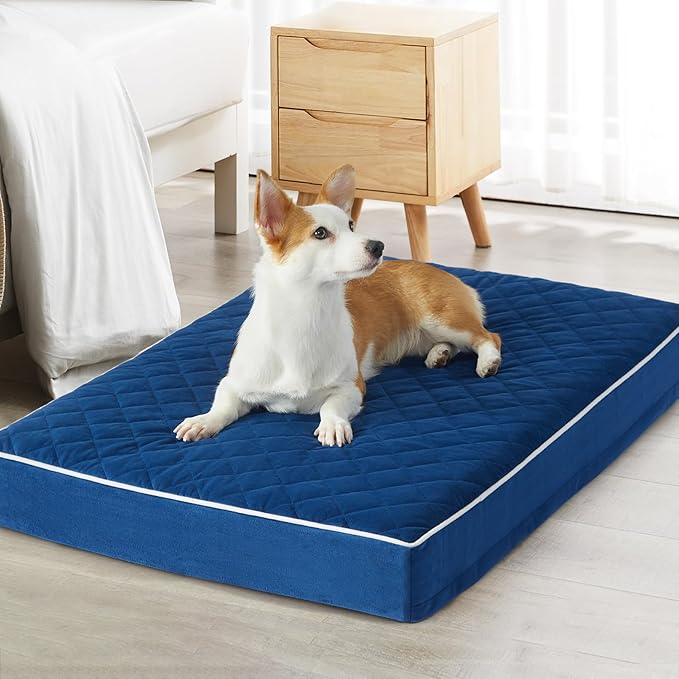 WNPETHOME Orthopedic Waterproof XL Dog Bed for Crate Cozy Sleep