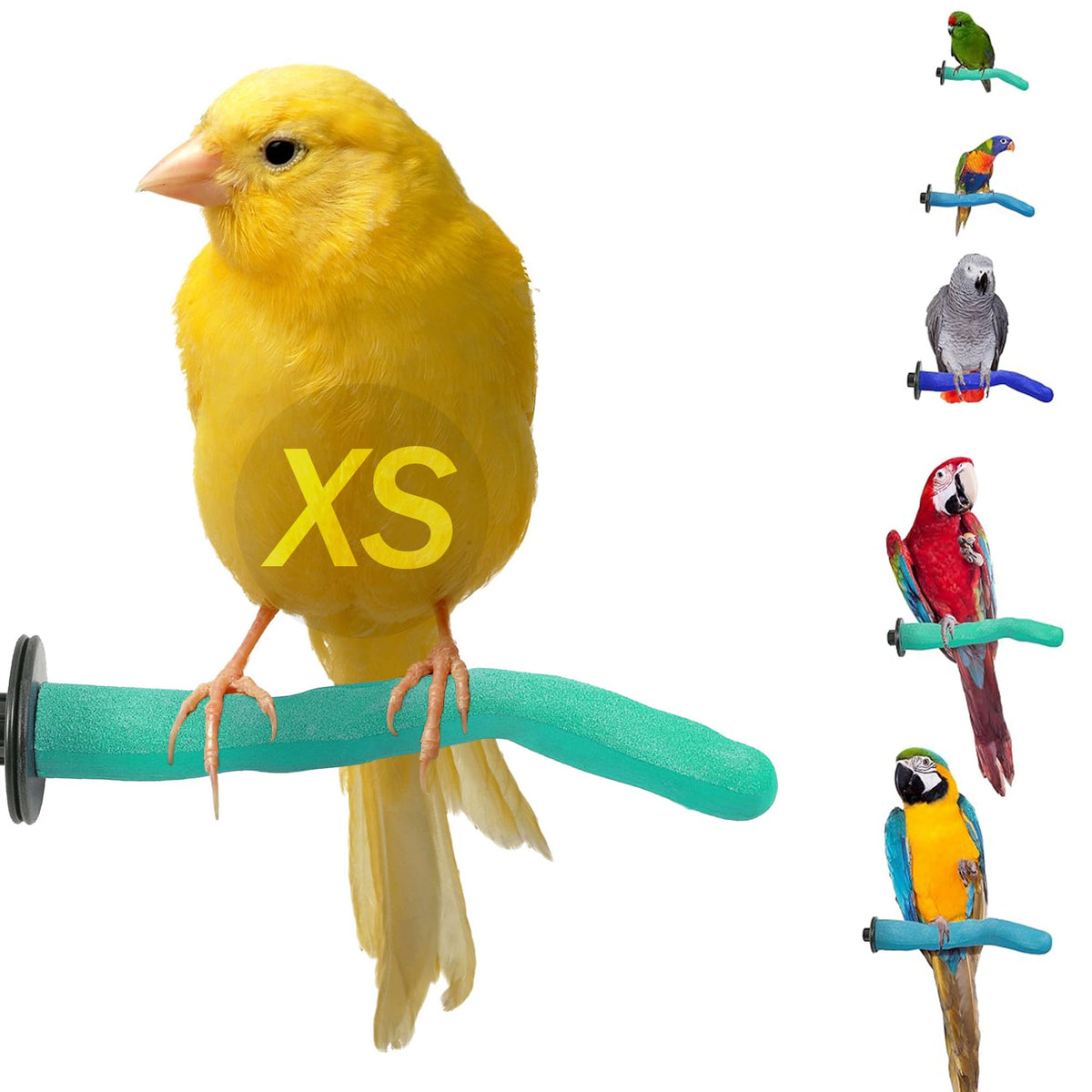 Sweet Feet and Beak Safety Pumice Bird Perch, X-Small Pedicure Perch, Blue