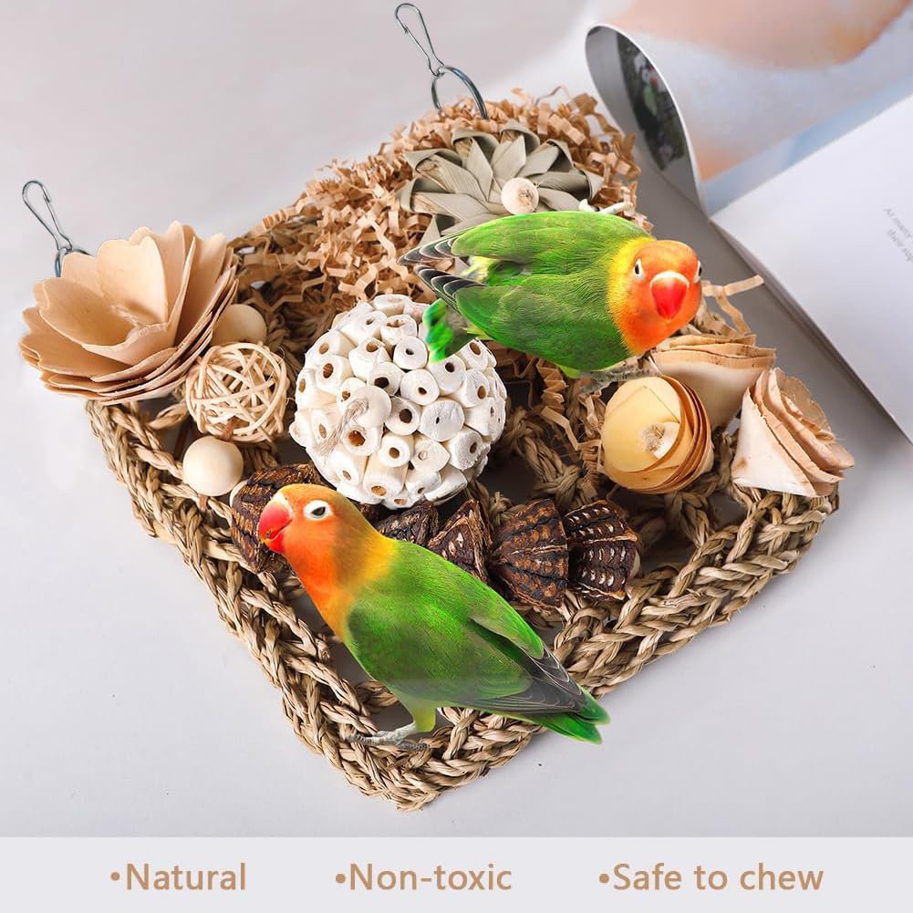 YUEMOOLIX Bird Foraging Toys Natural Bird Toys Conure Toys Parrot Shredding Hanging Toys for Small to Medium Birds Parakeet Cockatiel Conure Lovebird Budgie