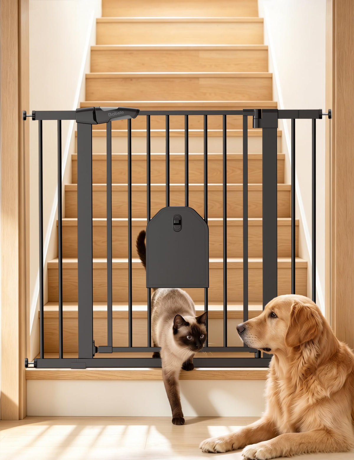 Babelio 36" Tall Dog Gate with Adjustable Cat Door, CatPrivilege I, 29-43"
