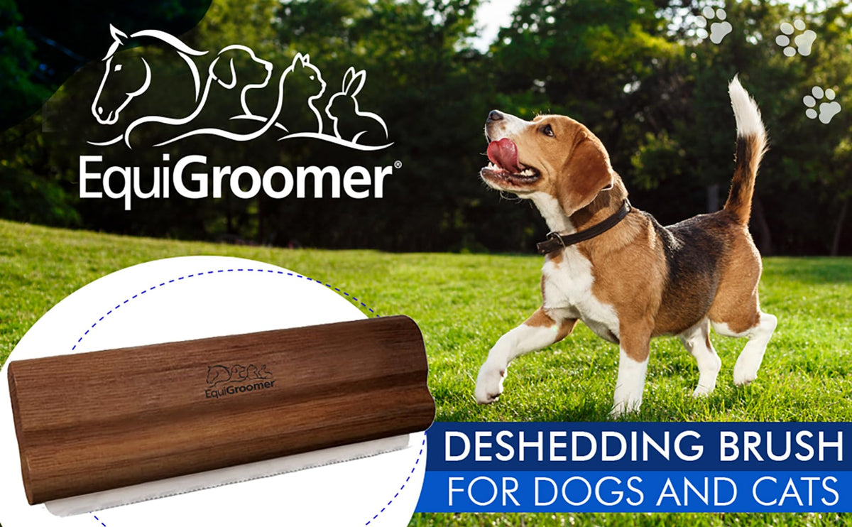 EquiGroomer 5-Inch Undercoat Deshedding Brush for Dogs & Cats, Turquoise