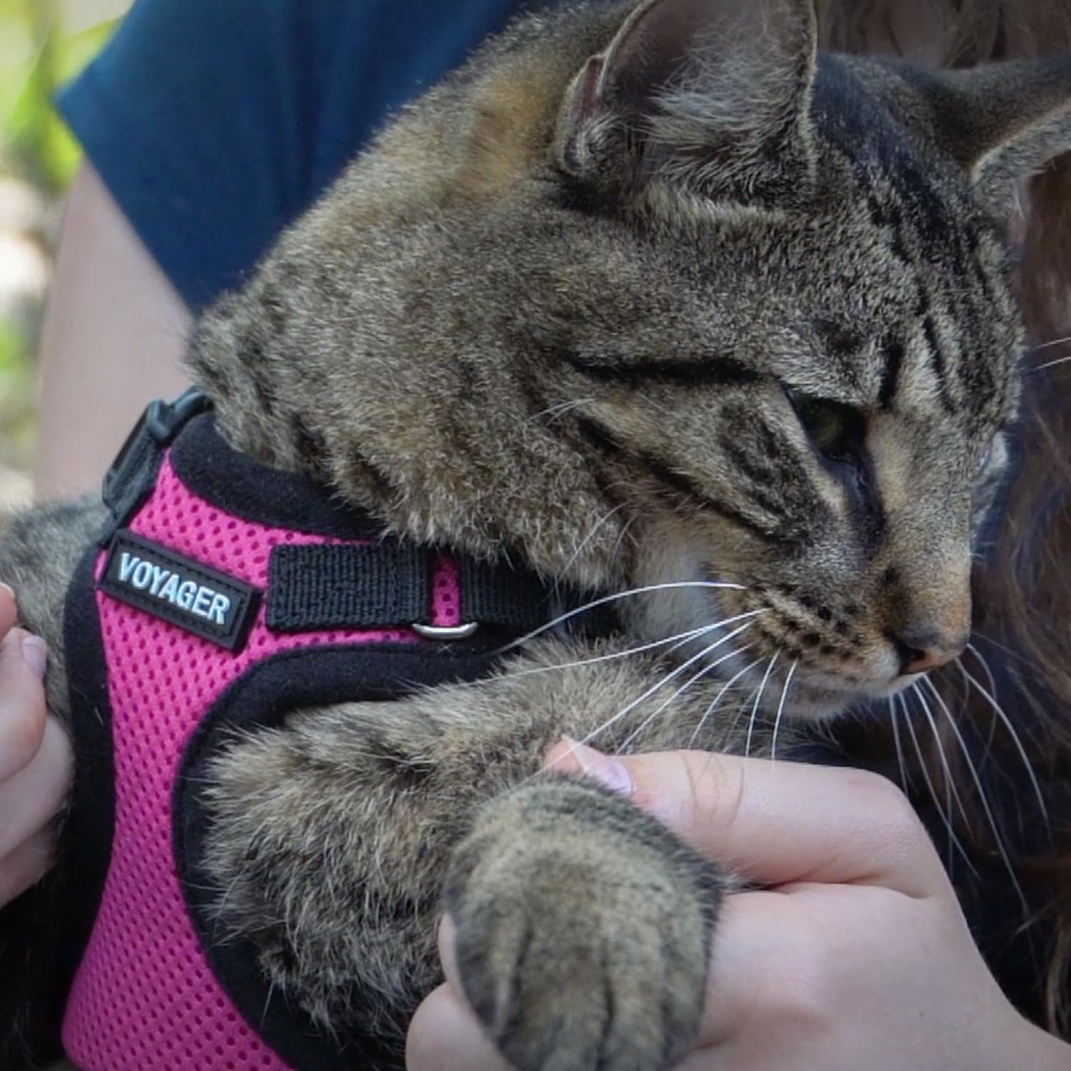 Voyager Escape-Proof Step-in Lock Cat Harness & 5ft Neoprene-Handle Leash Set All-Weather Mesh with Reflective Stitching for Small to Large Cats by Best Pet Supplies, Fuchsia/Black Trim, XS