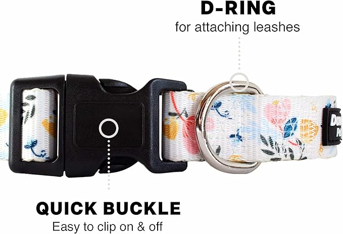 Downtown Pet Supply - Best, Cute & Fancy Dog Collar - Lightweight Adjustable Dog Collar with Quick Buckle & D-Ring - Hand Wash Safe - Floral - S - Small Dog Collar