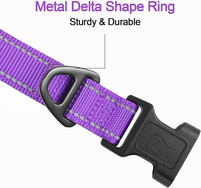 Joytale Reflective Dog Collar, Adjustable Neoprene Padded, Purple M
