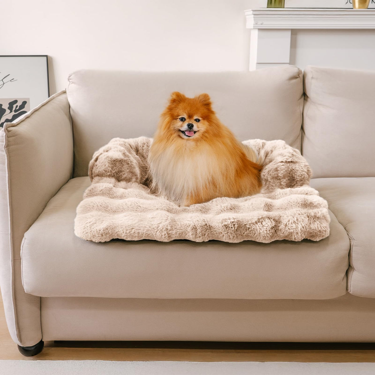 FUNNY FUZZY Dog Couch Bed, Calming Luxurious Large Pet Sofa Bed Cover