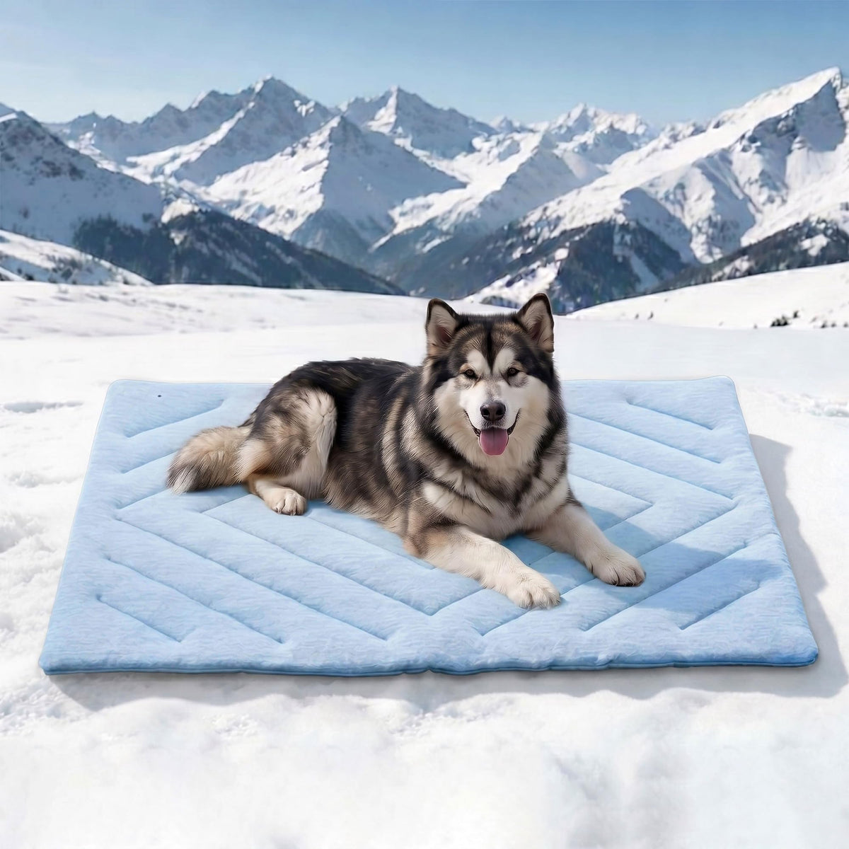 BECROWM Dog Cooling Mat Self Coolings Foldable Cooling Pad for Dog in Summer Coolings Mat for Dogs and Cats Machine Washable (Rectangle,Blue, Large-48 L x 28" W)