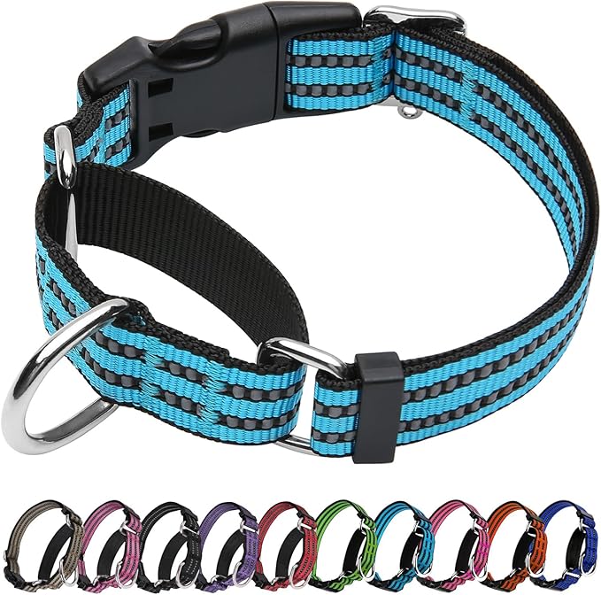 JOYEEIIOO Martingale Dog Collar, Adjustable Nylon Reflective Collar with Quick Release Buckle, No Pull Dog Training Collars for Small Medium Large Dogs (Blue, Extra Large)