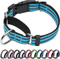 JOYEEIIOO Martingale Dog Collar, Adjustable Nylon Reflective Collar with Quick Release Buckle, No Pull Dog Training Collars for Small Medium Large Dogs (Blue, Extra Large)