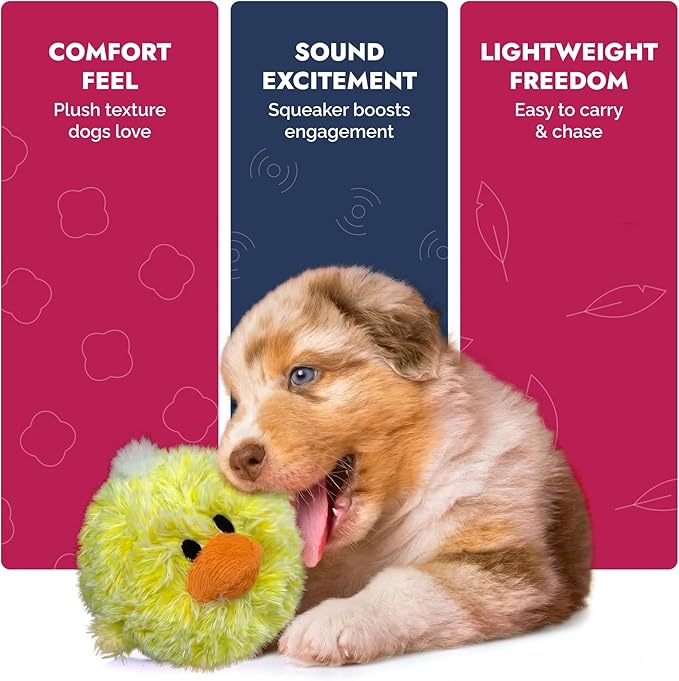 PetLou D.O.G'Z 4-inch EZ Squeaky Chick Dog Plush Toy,Durable Squeaks Bouncy Ball Dog Toy