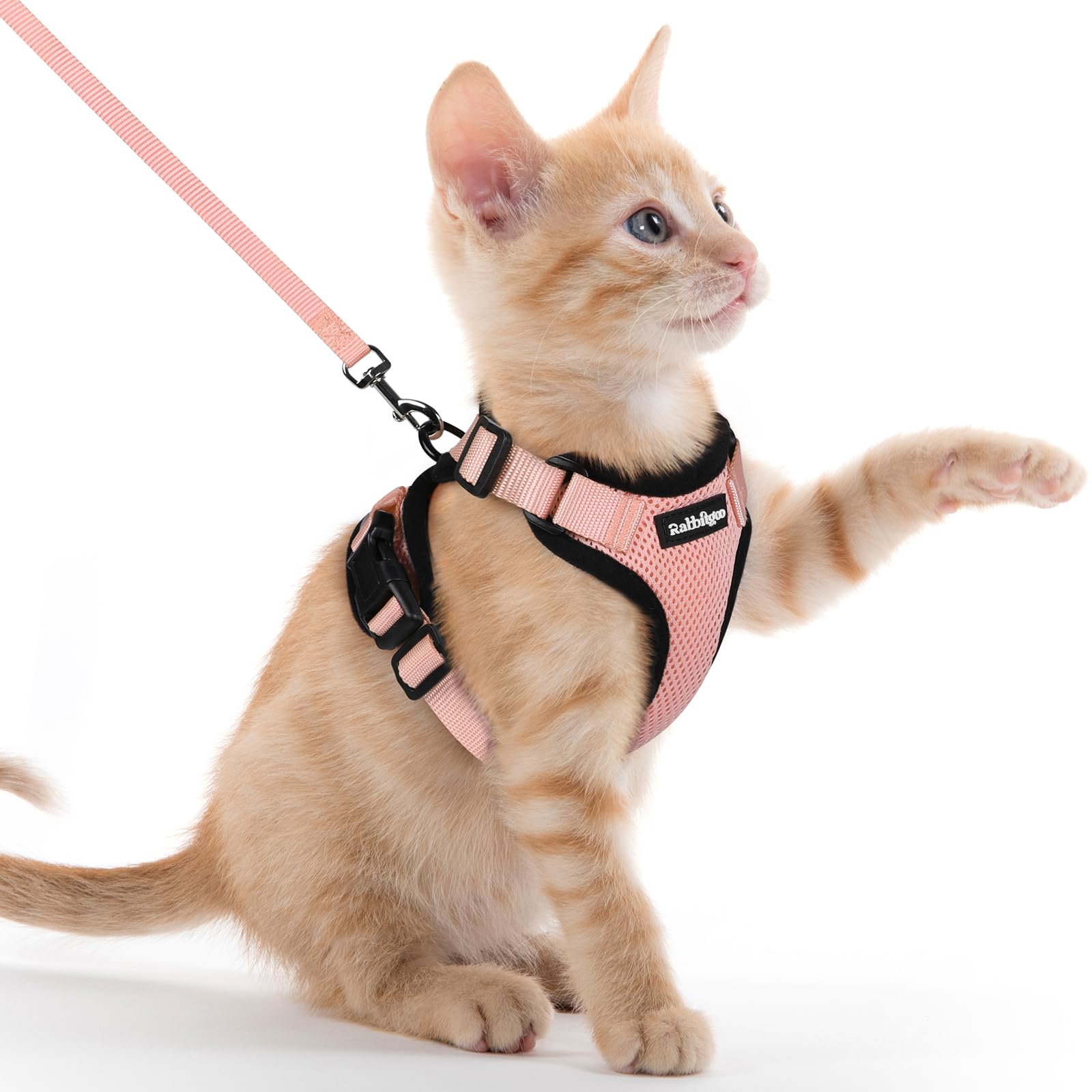 rabbitgoo Cat Harness and Leash Set, Escape Proof Vest, Emerald