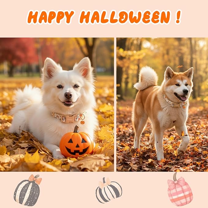 Astdogio Halloween Dog Collars, Fall Dog Collar for Dogs, Fun Multi-Color Pumpkin Dog Collars for Large Dogs, Adjustable Cotton Large Dog Collar Puppy Collar for Halloween & Thanksgiving