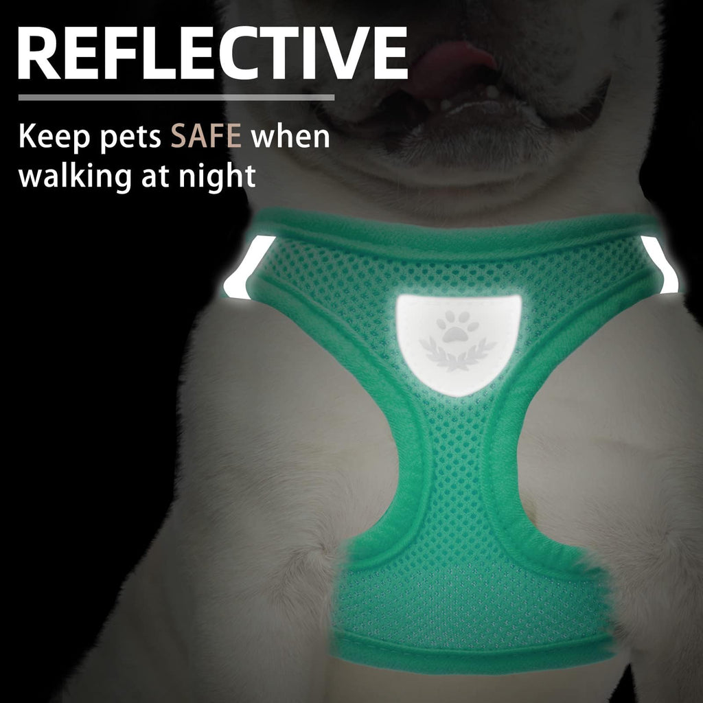 PUPTECK Dog Harness, Collar and Leash Set No Pull for Small Medium Sized