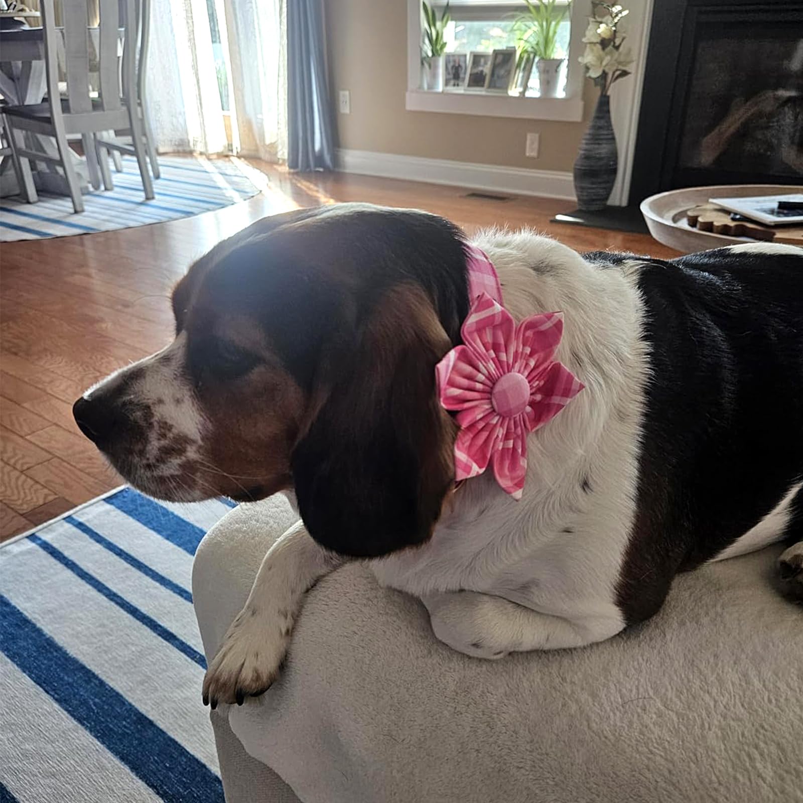 Lionheart Glory Cute Dog Collar, Pink Floral Dog Collar with Flower, Soft Adjustable Pet Collar for X-Small Dogs Puppy Girl/Boy