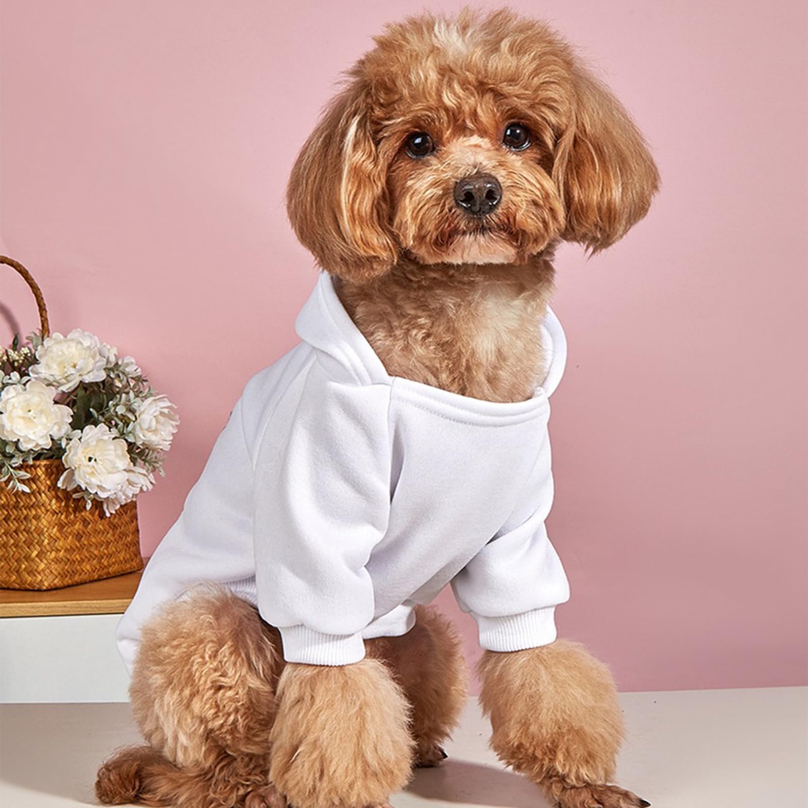 Soft Dog Hoodies for Small Dogs, Warm Fleece Puppy Clothes with Pocket