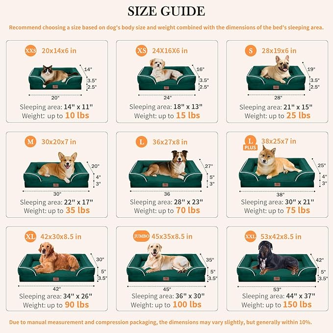 Comfort Expression Orthopedic Dog Bed for Medium Dogs 30x20 Inch, Waterproof Supportive Egg Crate Foam Medium Pet Bed with Removable Bolsters, Dog Couch with Washable Cover & Non-Slip Bottom, Emerald
