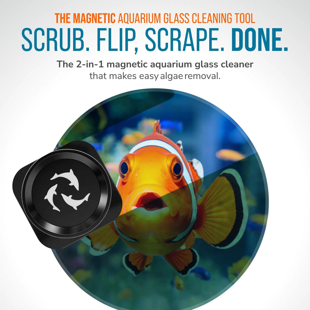 FL!PPER Pico Aquarium Glass Cleaner - Magnetic Fish Tank Cleaner, Scrubber & Scraper, Algae Remover, Aquarium Cleaning Tools