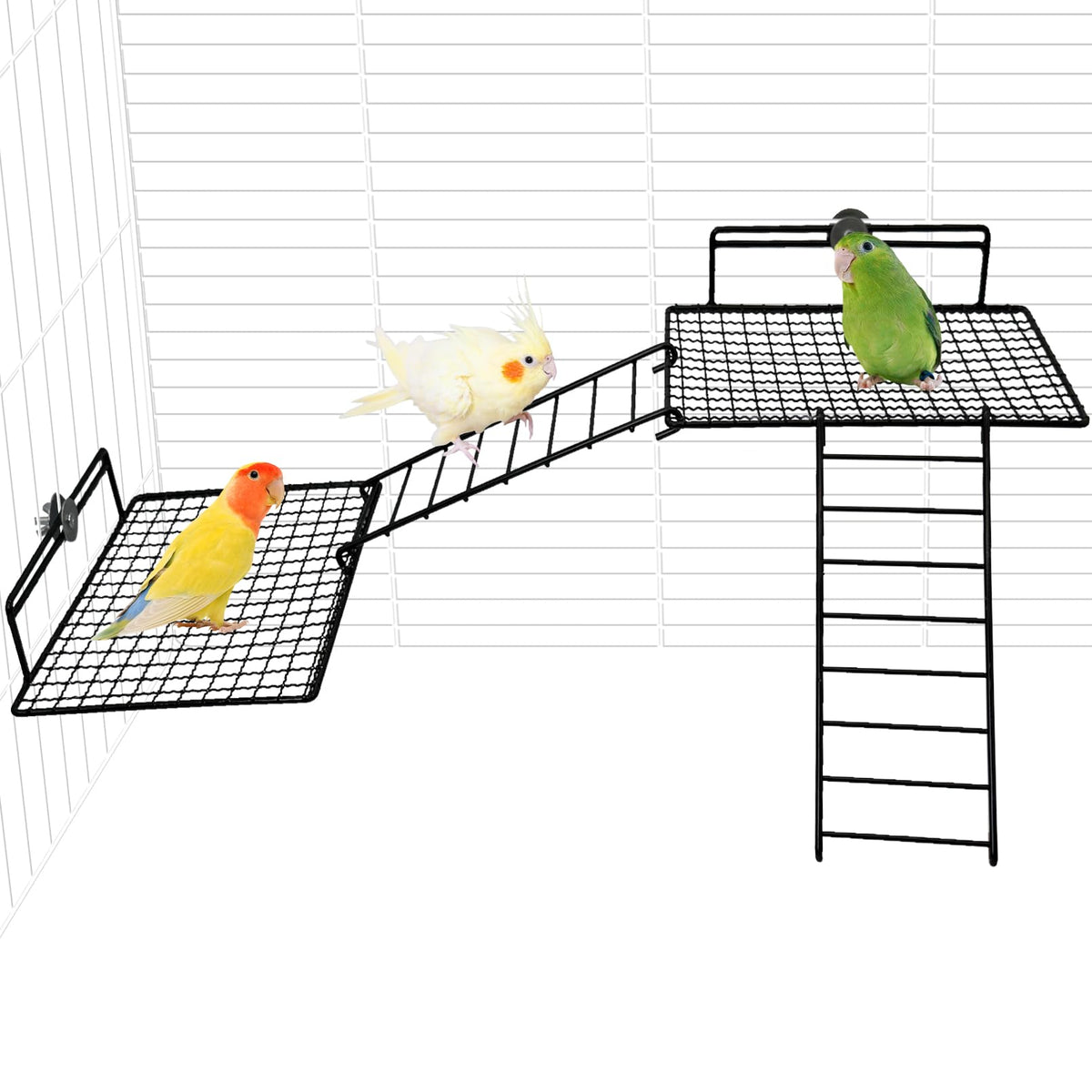 BNOSDM Stainless Steel Grid Platform for Parakeet 4 PCS Bird Perches Platform Parrot Stand with Climbing Ladder Bird Cage Accessories for Small to Large Birds (L)