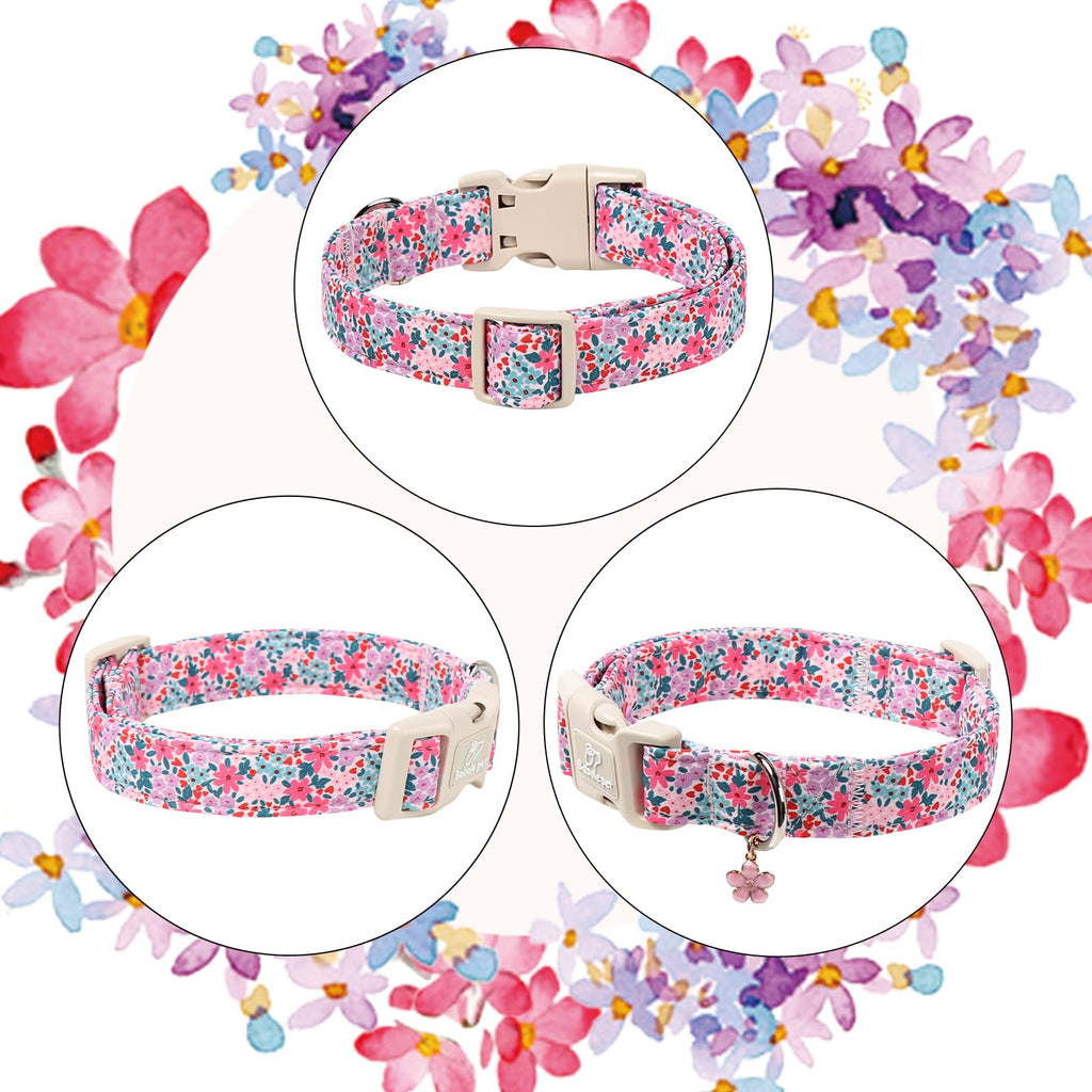 Babole Pet Floral Dog Collar, Cute Girl Dog Collars - Pastel Wildflowers Pattern Spring Summer Puppy Collar, Adjustable Female Dog Collars for Small Medium Large Dogs M